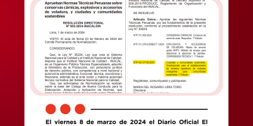 🚨 Última Noticia: Aprobaron la Norma Técnica Peruana IS0 37106 para Ciudades Inteligentes y sostenibles