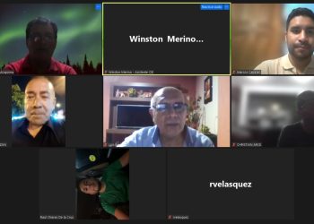 REUNIÓN VIRTUAL DEL COMITÉ ESPECIALIZADO DE SEGURIDAD Y FISCALIZACIÓN ELECTRÓNICA