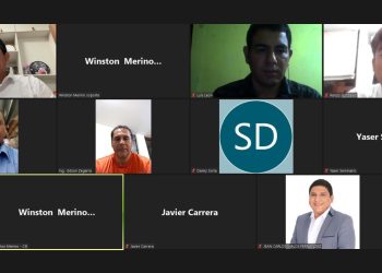 REUNION VIRTUAL DEL COMITÉ ESPECIALIZADO DE AUTOMATIZACION Y ENERGIA